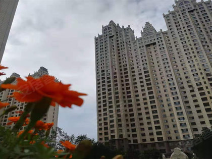 涿州公园一号最新房价揭秘，小巷深处的惊喜探索