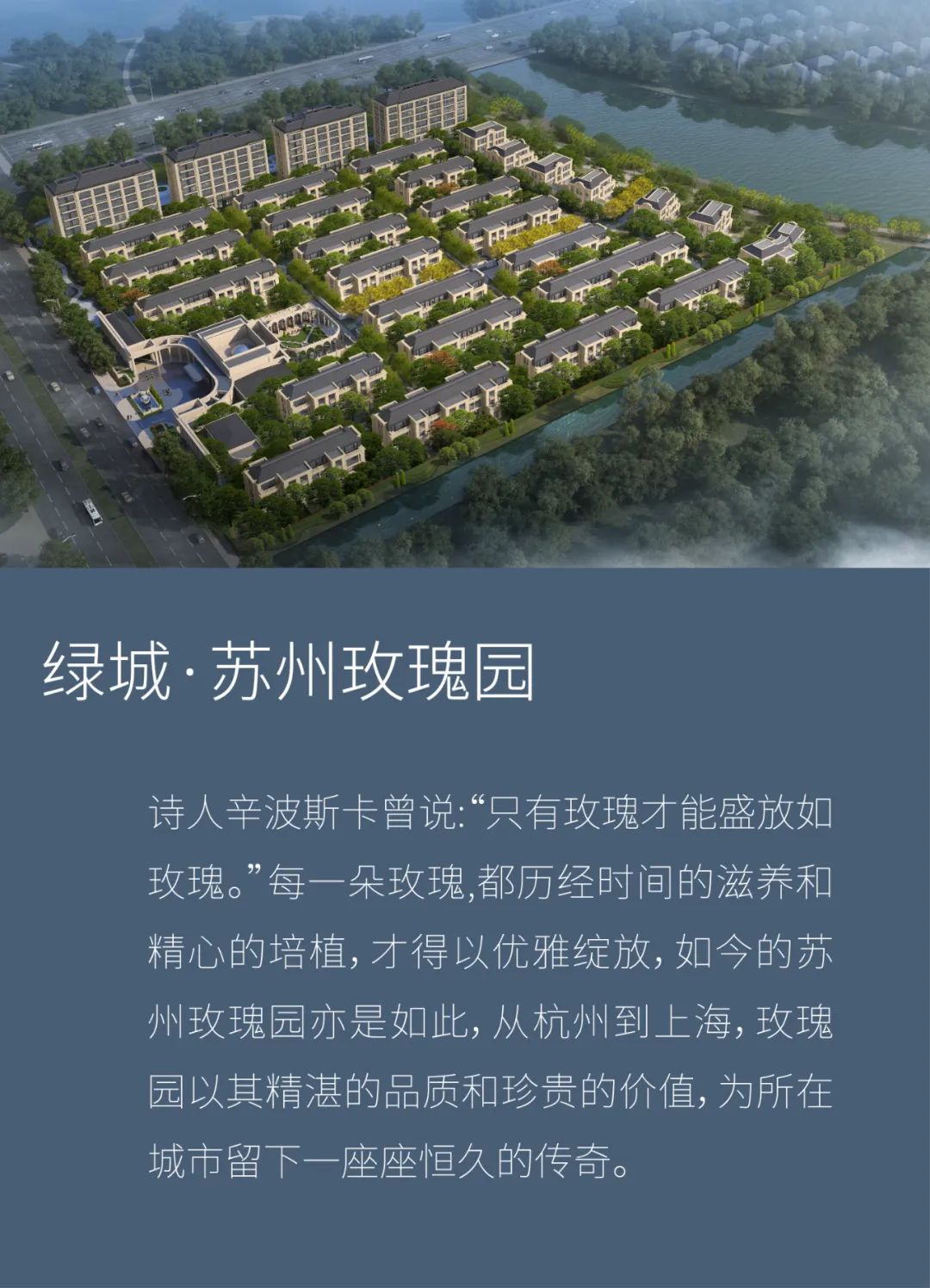池州玫瑰园最新动态更新