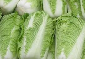 白菜批发价格最新动态及行情概览